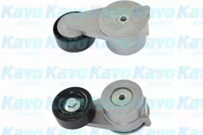 KAVO PARTS dtp3019 -  Натяжной ролик, поликлиновойремень